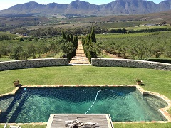 South African wine tour with Rose Murray Brown MW