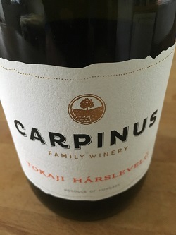 Carpinus Harslevelu Lidl