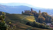 Baden wine region Germany
