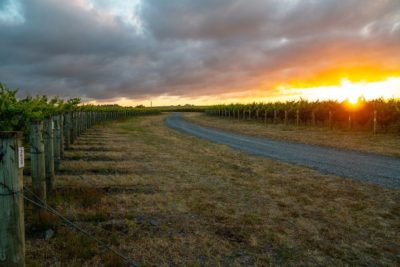 Gimblett Gravels wine region New Zealand