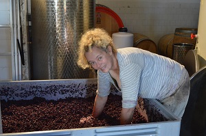 Jo Ahearne making Plavac Mali wine Hvar Croatia