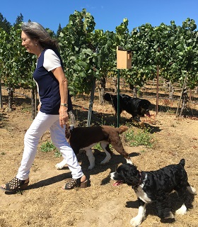 Marimar Torres in her Green Valley vineyard Sonoma California