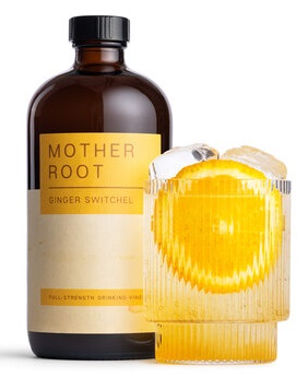 Mother Root London Ginger Switchel reviewed