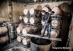 Polperro Winery Mornington Peninsula Victoria Australia