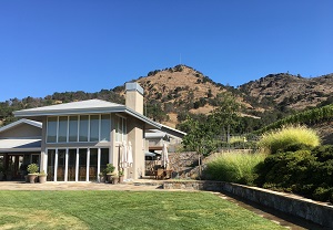 Shafer Vineyards Stags Leap District Napa Valley California
