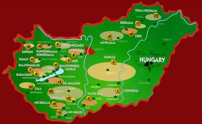 Hungary's Harslevelu grape